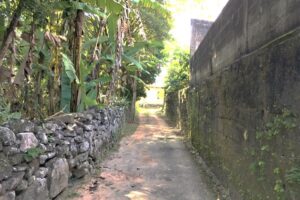 Antônio Pimenta Alley