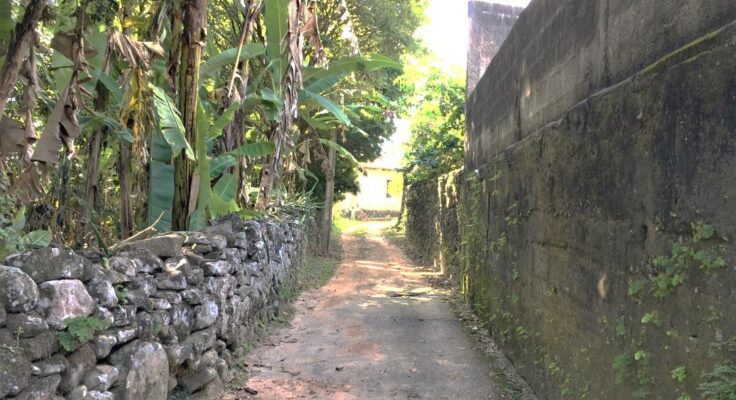 Antônio Pimenta Alley