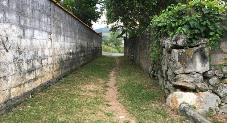 Joaquim Simões Carvalho alley